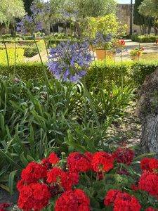 Blühender Garten mit bunten Blumen Blütenpracht