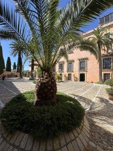 Palme im gepflasterten Innenhof Palacio de Villavicencio vom Hof aus gesehen