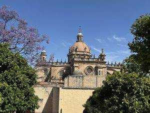 Historisches Gebäude mit Kuppel und blühenden Bäumen Weiter geht es zur Kathedrale