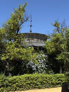 Dach der Bodega La Concha