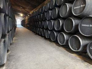 Weinkeller mit Gonzalez Byass Fässern Tausende Fässer gefüllt mit Sherry