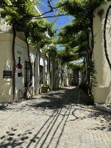 Schattiger, grüner Gässchenweg Alte Gasse