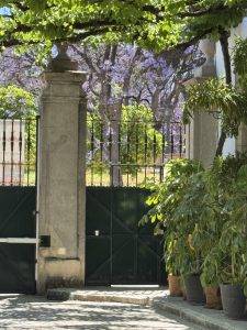 Eiserner Torbogen im grünen Garten Wie dieses schmiedeeiserne Tor