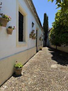 Schmaler Gang zur nächsten Bodega