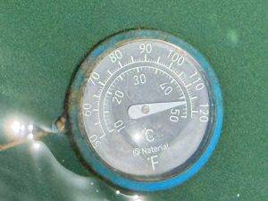 Thermometer im Grünen Wasser Da stimmt was mit dem Thermometer nicht