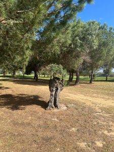 Ja, wo steckt denn der Ball?!