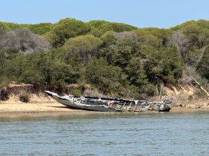 Wracks haben hier eigentlich nichts zu suchen