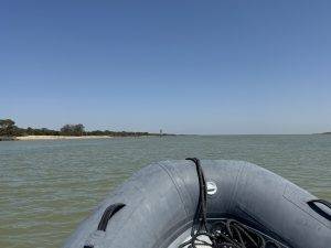 Ausflug mit der Gummisau