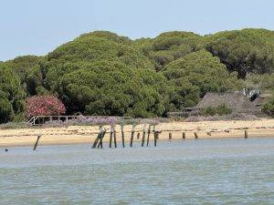 Museumsdorf zwischen den Bäumen