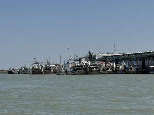 Fischereiboote am Pier mit Möwen im klaren Himmel Fischereiboote gibt es hier reichlich