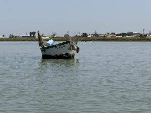 Viele Boote hängen an Moorings