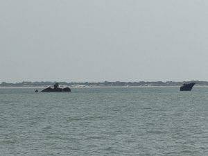 Schiffswrack vor bewaldeter Küste Laut Seekarte ist das Wrack immer unter Wasser