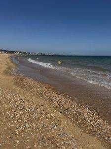 Strand mit Muscheln und Bojen Strandspaziergang