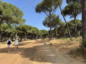 Auf dem Weg zur Romería del Aljaraque