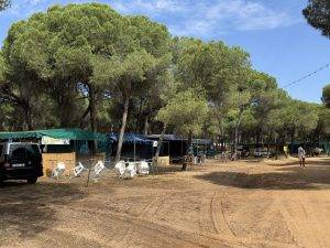 Mitten im Pinienwäldchen