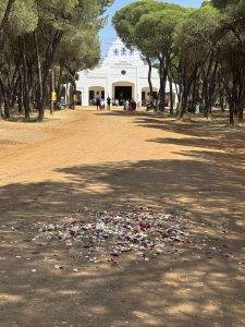 Blumen für die Jungfrau Maria