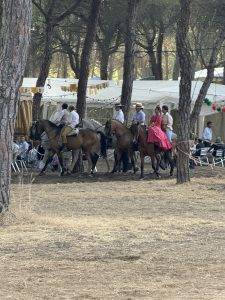 Hoch zu Ross unterwegs