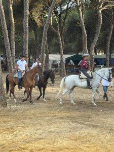 Sehen und gesehen werden