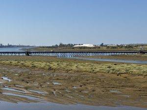 Muelle de Tharsis