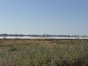 Man riecht das Salz beim Vorbeiradeln