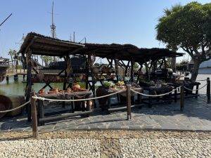 Marktszene aus der neuen Welt