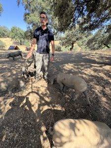Manuel erläutert uns die Aufzucht