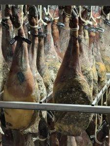 Edelschimmel ist in Ordnung