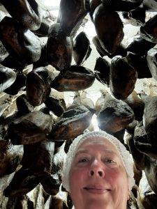 Im Schinkenhimmel nur mit Haube