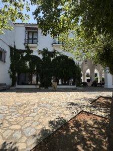 Schattige Plätze laden zum Verweilen