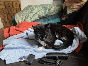 Flöckchen blockiert meine Abreise