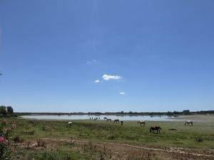 Blick auf den Charco de la Boca