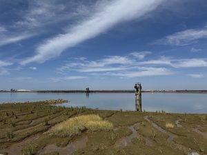 Muelle de Tharsis - wird ebenfalls restauriert