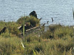 Versunkenes Wrack