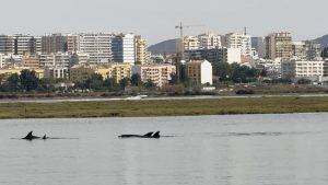 Besucher am Ankerplatz