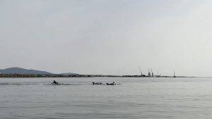 Und wieder auf dem Weg nach draußen