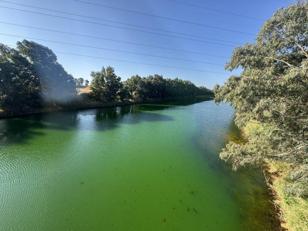 Der Odiel bei Gibraleón