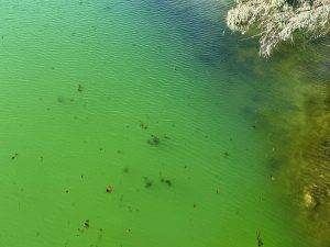 Interessante Wasserfarbe