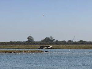 IMG_6321 Bewohnte Sandbank