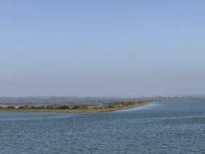 Ausblick auf die Marismas