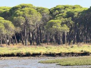 Schöne Abendstimmung
