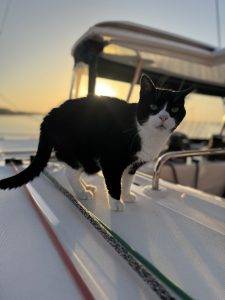 Lucky kommt auch zum Gucken nach oben