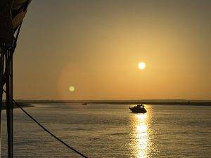 Die Hauptdarstellerin