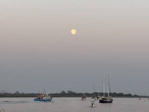 IMG_6363 Fast voll