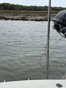 Spring-Niedrigwasser - ganz schön nah am Ufer