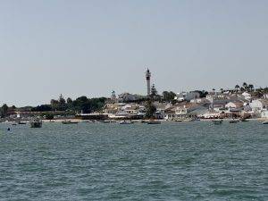 IMG_6434 El Rompido