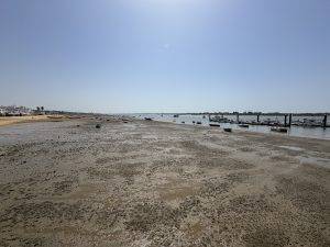 IMG_6471 Niedrigwasser