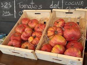Kindskopfgroße Tomaten