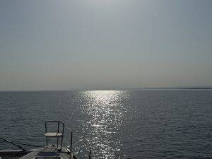 Bei Gegenlicht schwer zu erkennen