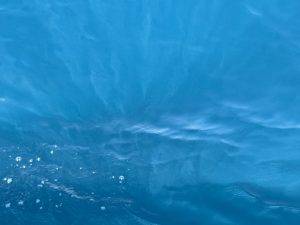 Das Wasser verlockt zum Reinspringen