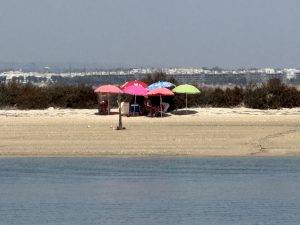IMG_6584 Sandbankidylle